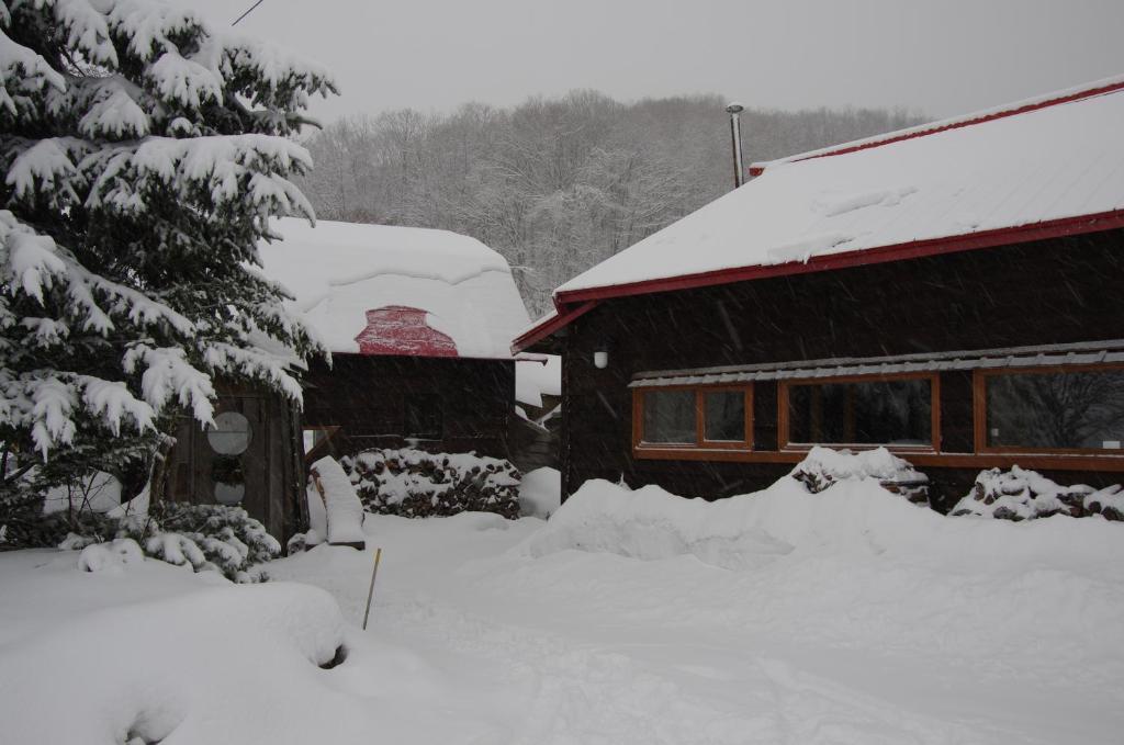Goryo Guesthouse 富良野市 エクステリア 写真